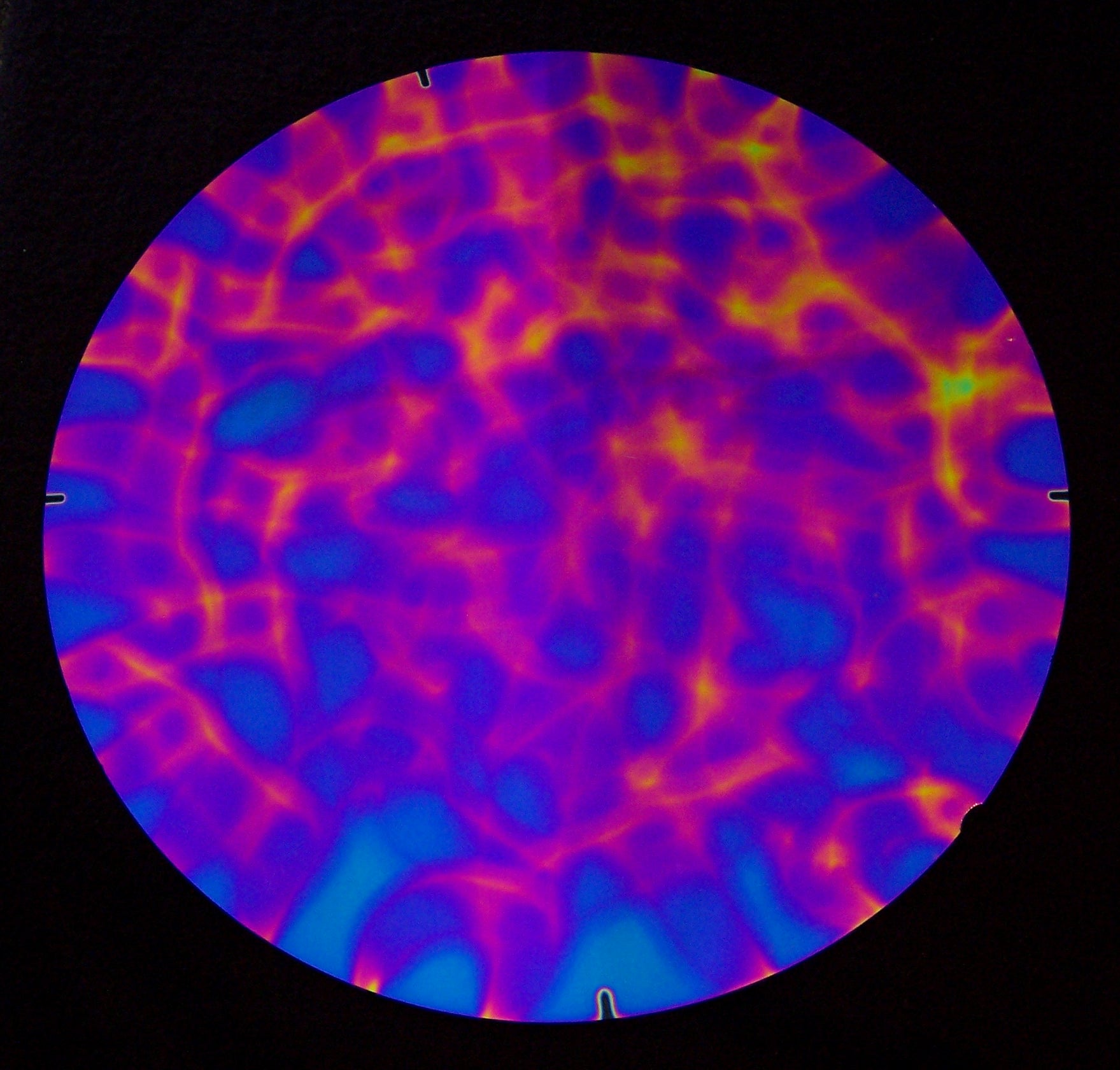 CBS-Green/Magenta Blue / Aurora Borealis  1/4th sheets