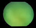 CBS- Magenta/Green 1/4th sheets