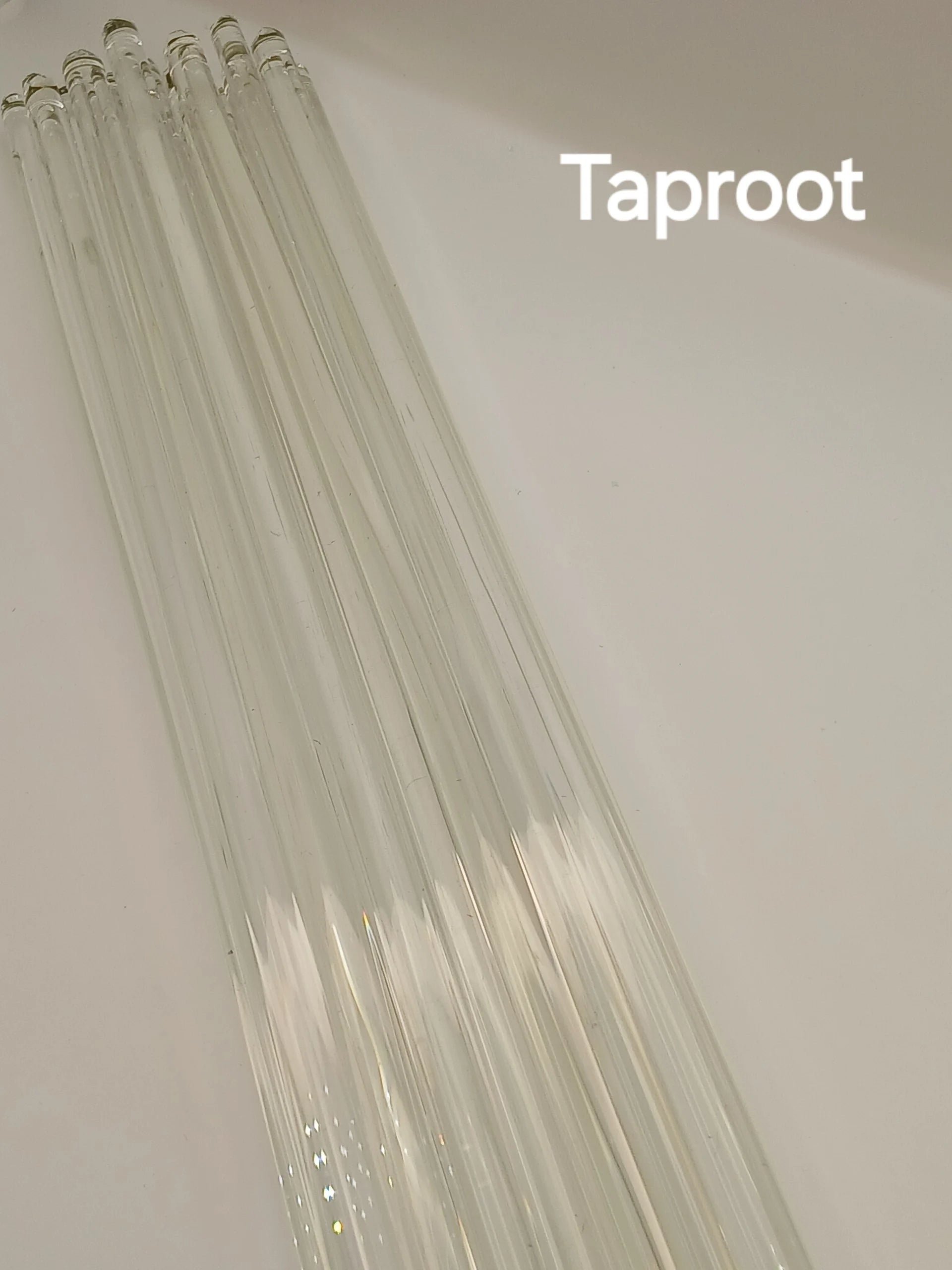 Taproot
